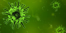 Virus, norovirus, gastrointestinal, infection