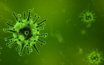 Virus, norovirus, gastrointestinal, infection