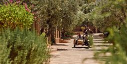 Abercrombie & Kent, luxury morocco, morocco luxury tours, tours to Morocco