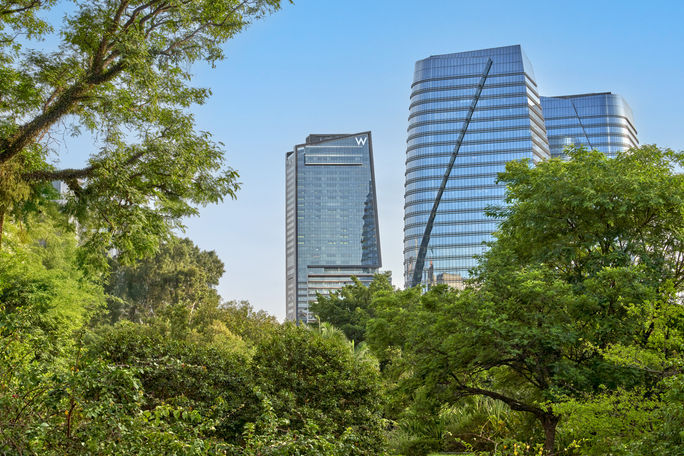 W Sao Paulo. W Sao Paulo.