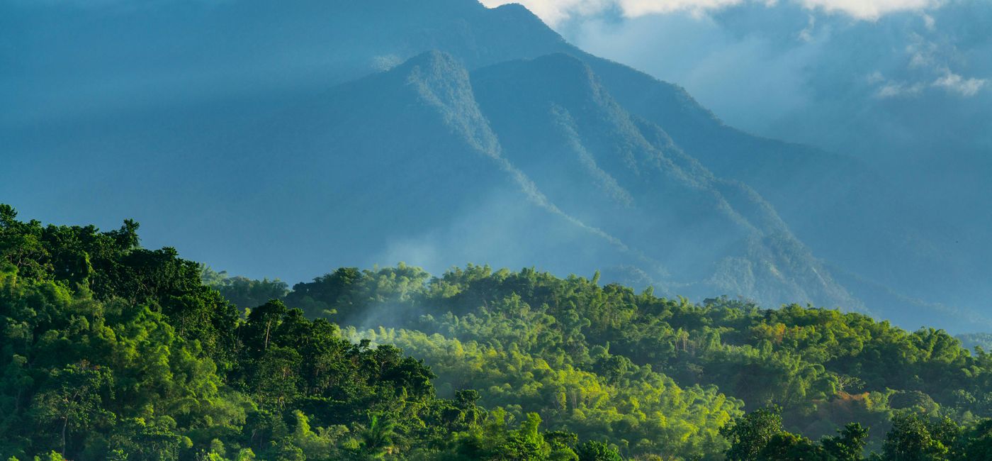 Image: Les montagnes de Port Antonio (Photo Credit: Sean Witter/Pexels)