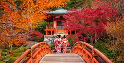 Guided Japan Tours from Only $1,545