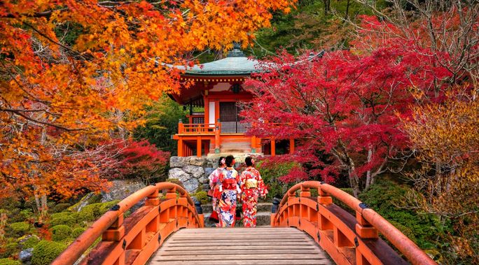 Guided Japan Tours from Only $1,545