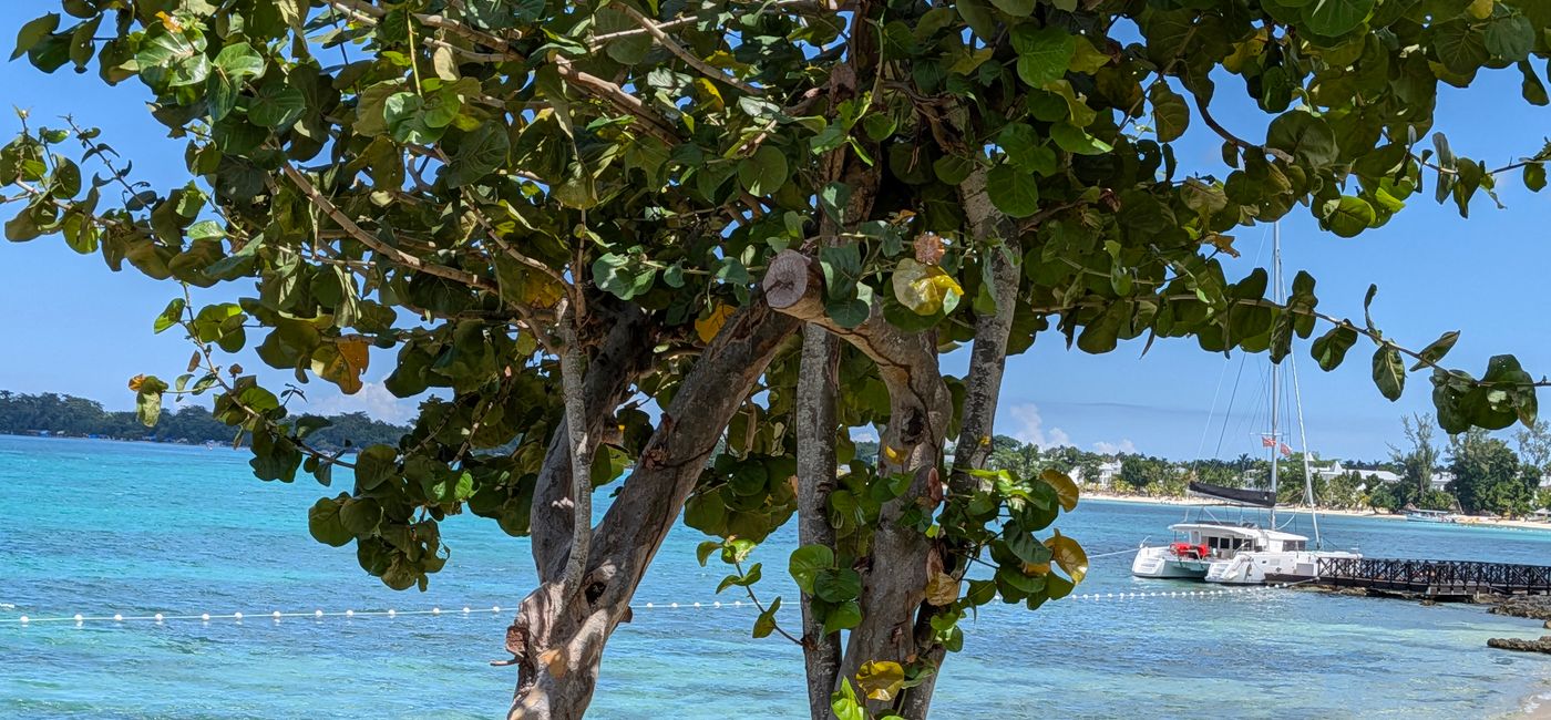 Image: Royalton Negril (Photo Credit: Natasha Lair)
