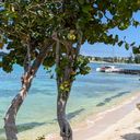 Royalton Negril