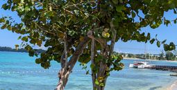 Royalton Negril