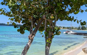 Royalton Negril