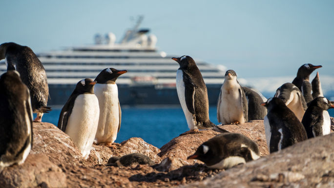 Cuverville, Antarctica, Antarctica expedition cruise, Antarctica cruise, Scenic Luxury Cruises & Tours, Scenic Eclipse, penguins, antarctica wildlife