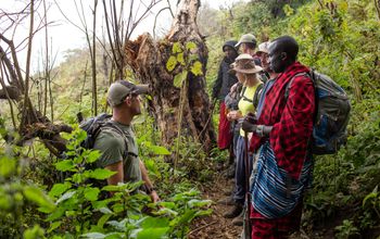 Audley Travel Adds New Offerings in Tanzania, Japan, France and the UK