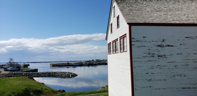 A scene on the East Coast of Newfoundland