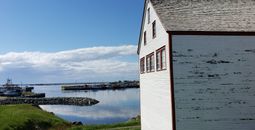A scene on the East Coast of Newfoundland