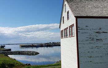 A scene on the East Coast of Newfoundland