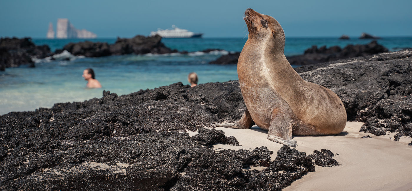 Image: Sea lions, turtles, sharks, blue-footed boobies and other creatures await in the Galapagos (Photo Credit: Robb Leahy/Ecoventura)
