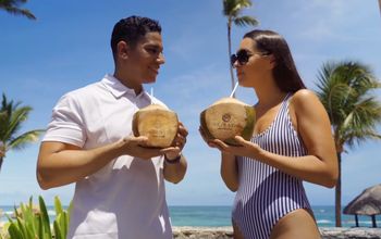 Majestic Coconuts