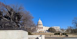 US Capitol and horse