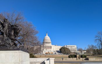 US Capitol and horse