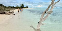 A remote cay dubbed "Iguana Island" is one of the stops on the snorkeling tour with Grace Bay Resort.