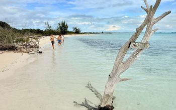 A remote cay dubbed "Iguana Island" is one of the stops on the snorkeling tour with Grace Bay Resort.