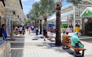 Nassau Cruise Port, Bahamas National Trust Partner For Sustainability
