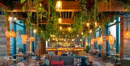 Treehouse Hotel London, The Nest