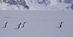 Founder Sven Lindblad - National Geographic-Lindblad Expeditions’