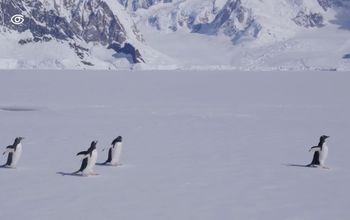 Founder Sven Lindblad - National Geographic-Lindblad Expeditions’