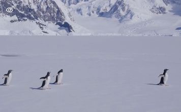 Founder Sven Lindblad - National Geographic-Lindblad Expeditions’