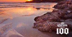 Cox Bay Beach, Tofino