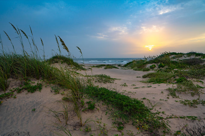 Sand Dune South Padre Island, Texas