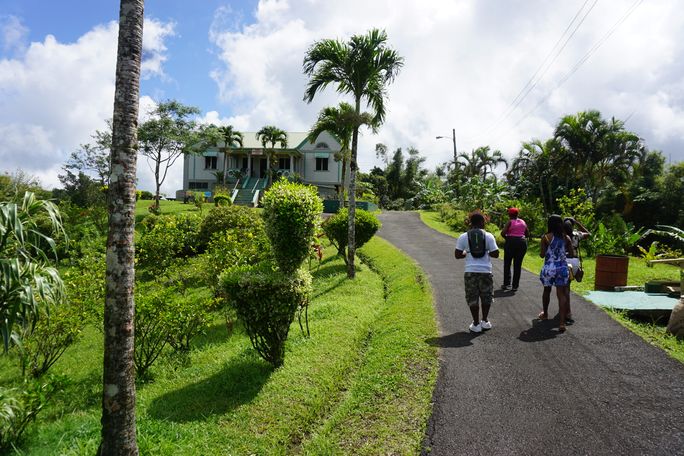 Grand Etang National Park in Grenada Grenada's Grand Etang National Park, caribbean, island,