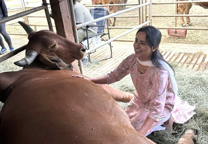 The Joy of Cow Cuddling The Joy of Cow Cuddling
