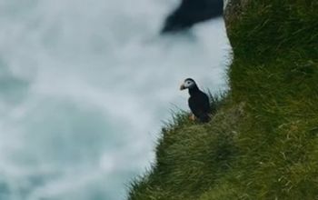 The Faroe Islands is more than a destination, it's home