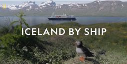 What to Expect: Iceland Expedition by Ship