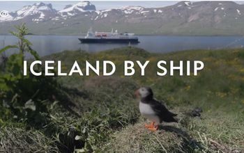 What to Expect: Iceland Expedition by Ship