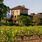 Winery in Napa Valley, California.