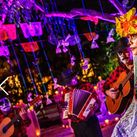 Day of the Dead - A Celebration to Remember