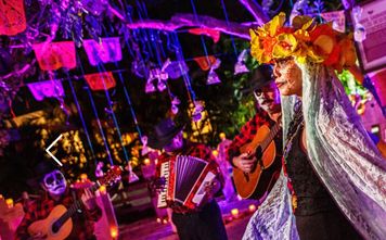 Day of the Dead - A Celebration to Remember