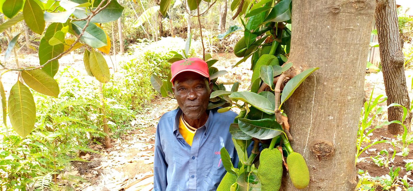 Image: Arbres pour Kenya (Source: G Adventures)