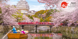 Boat ride on the moat of Himeji Castle with cherry blossoms in Japan.