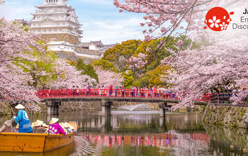 Boat ride on the moat of Himeji Castle with cherry blossoms in Japan.