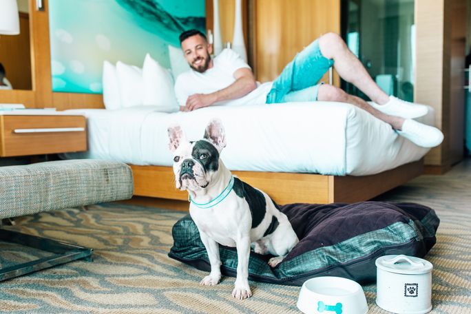 Hotels Roll Out Pampered Pet Packages for National Dog Month