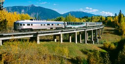 VIA train