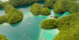 Travel to the Philippines with Air Canada.