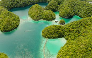 Travel to the Philippines with Air Canada.