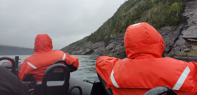 Whale watching in Trinity, Newfoundland Whale watching in Trinity, Newfoundland