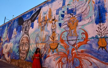 Oaxacan murals