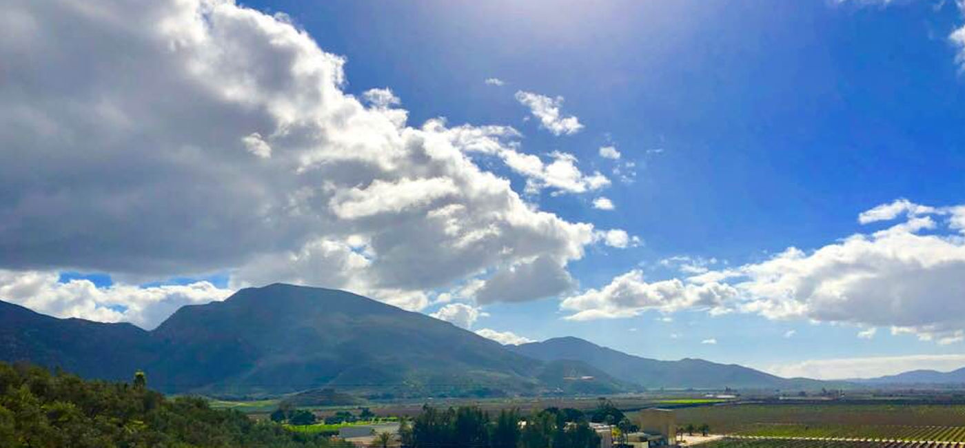 Image: Vineyard Views in Valle de Guadalupe (Photo via Noreen Kompanik)