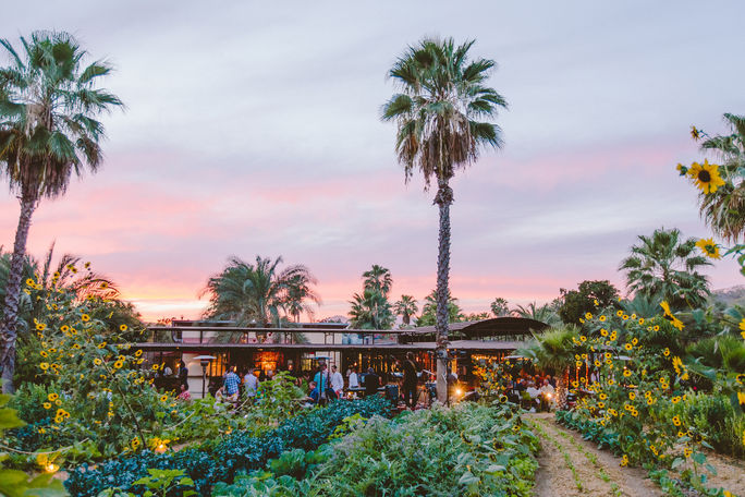 Farm to table cuisine in Los Cabos, Mexico