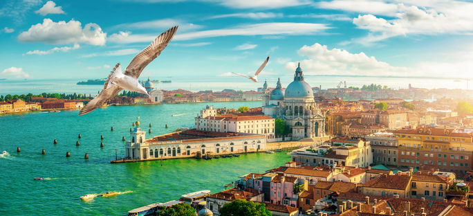 Seagulls soaring over Venice, Italy. birds, seagulls, Venice, Venezia, Italy