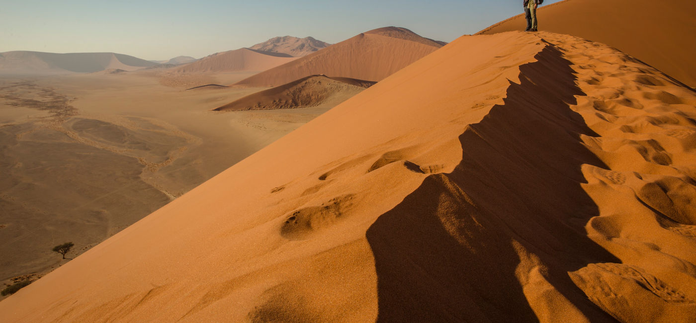 Image: Un moment du safari terrestre de la Namibie au Cap de G Adventures (Source: G Adventures)
